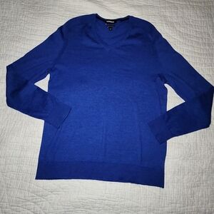 Express Sweater Men's Sz L Blue Merino Wool Blend V Neck Pullover Long Sleeve